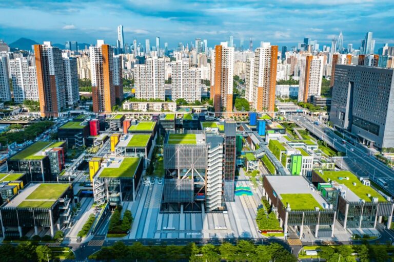 Young Entrepreneurs Flock to Qianhai Hub