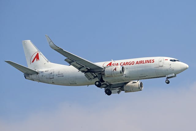 Ethiopia’s Hayli Gubbi Eruption Forces Air India, Akasa to Cancel Flights